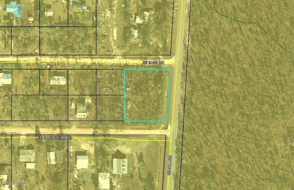 Chipola River Estates - Land