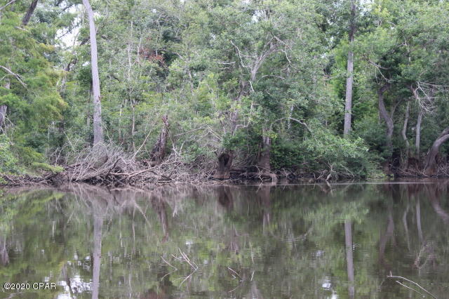 Chipola River Estates - Land