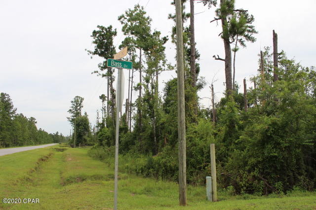 Chipola River Estates - Land