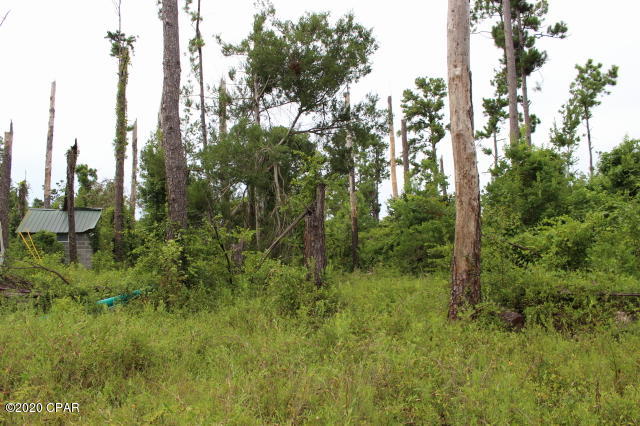 Chipola River Estates - Land