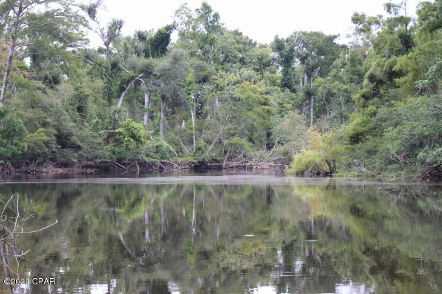 Chipola River Estates - Land