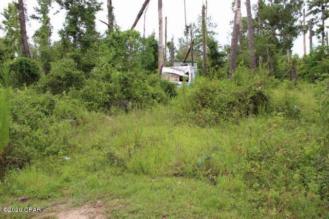Chipola River Estates - Land