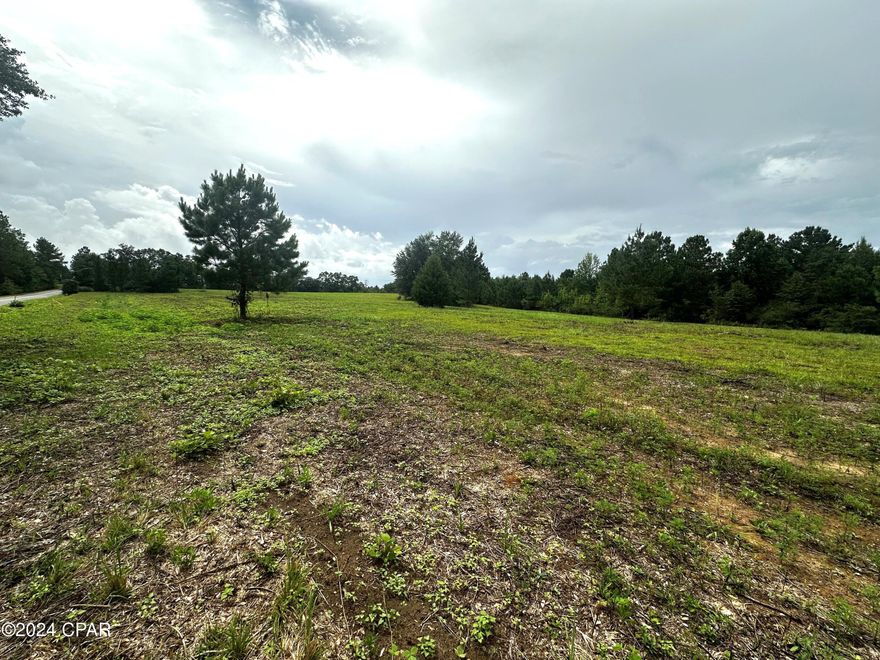 This recently cleared and surveyed 5-acre parcel is ready for its new owners! Located on a paved road, this spacious property offers endless possibilities for building your dream home or creating a serene getaway.
