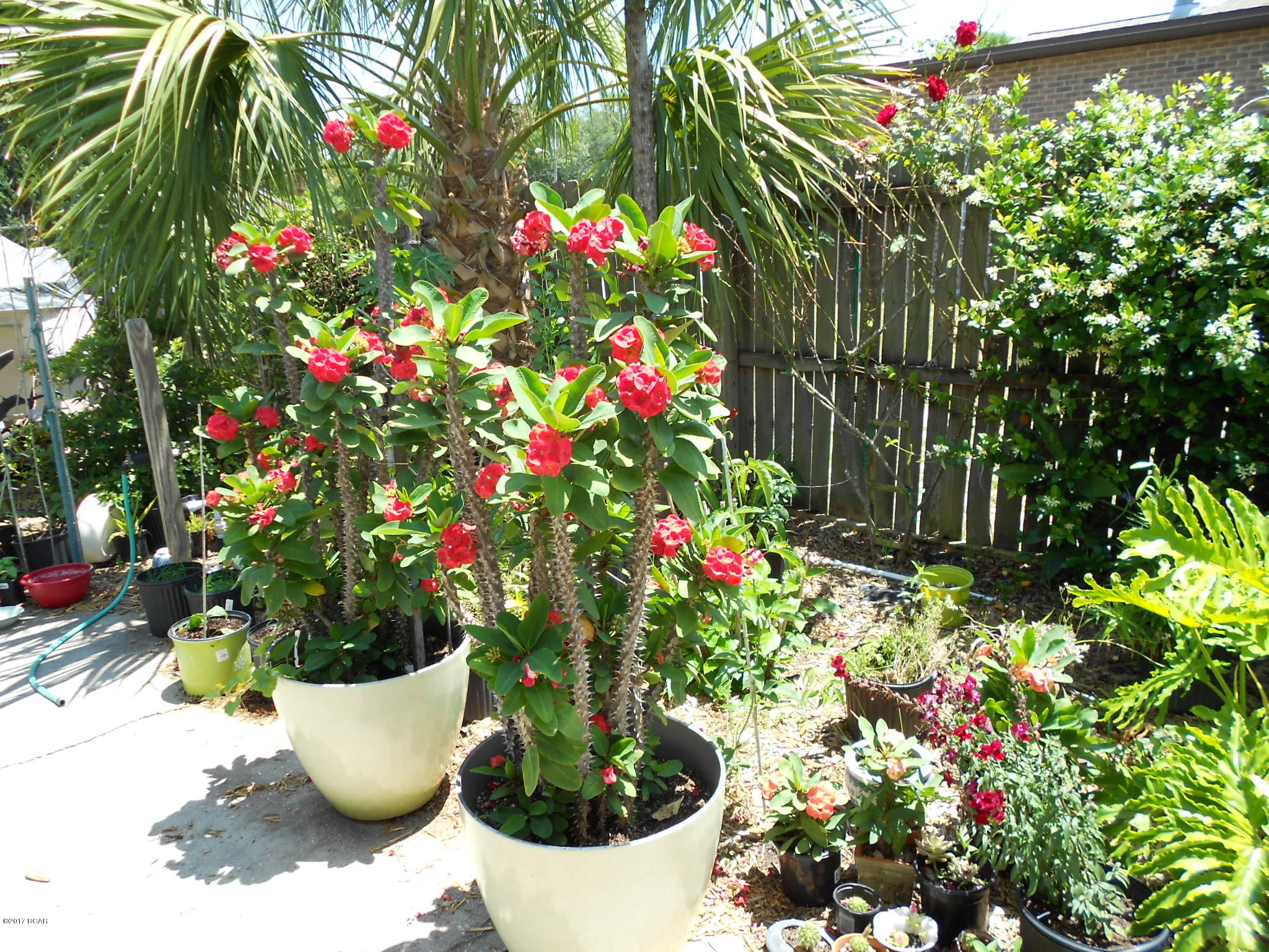 Shadow Bay Unt 3 & 4 - Residential