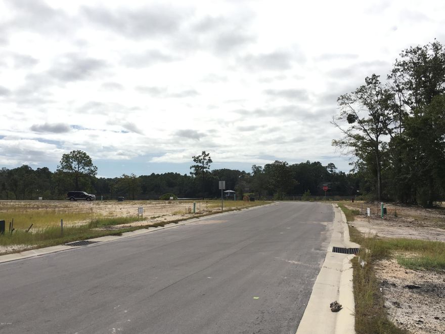 Build your home in Lynn Haven on this lot that backs up to Shoreview Pond and walk down to the HOA maintained park areas on the bayou. Neighborhood has pool, firepit, sidewalks, street lights, wide streets for on street parking, 2 dedicated parks, conservation land, and ponds throughout. The development contains Deerpoint elementary on the north and North Bay Haven Charter Academy within walking distance on the south. Lot has potable water, reuse for low cost lawn and landscape irrigation, power, sewer, and natural gas.