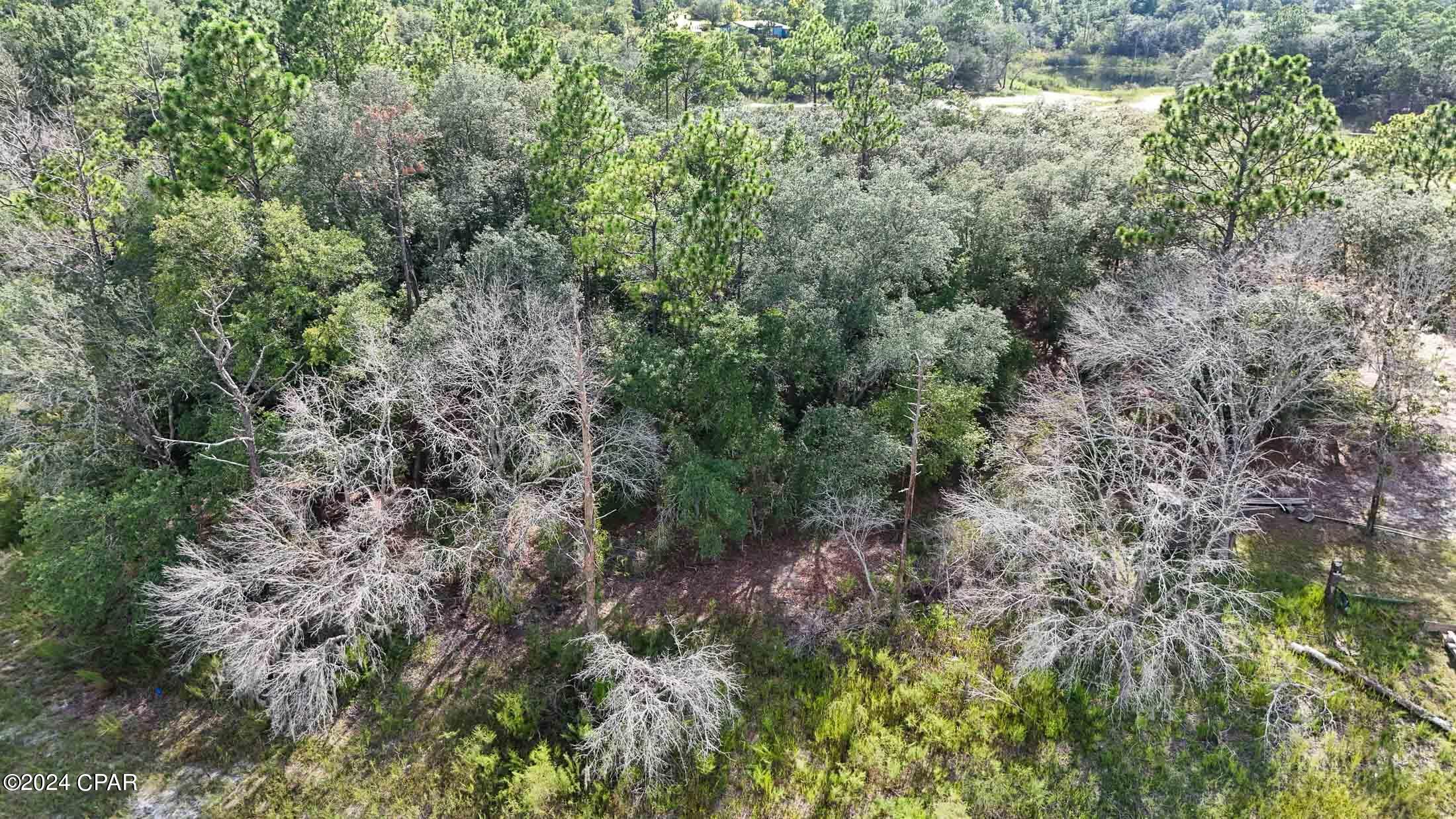 Seminole Plantation - Land