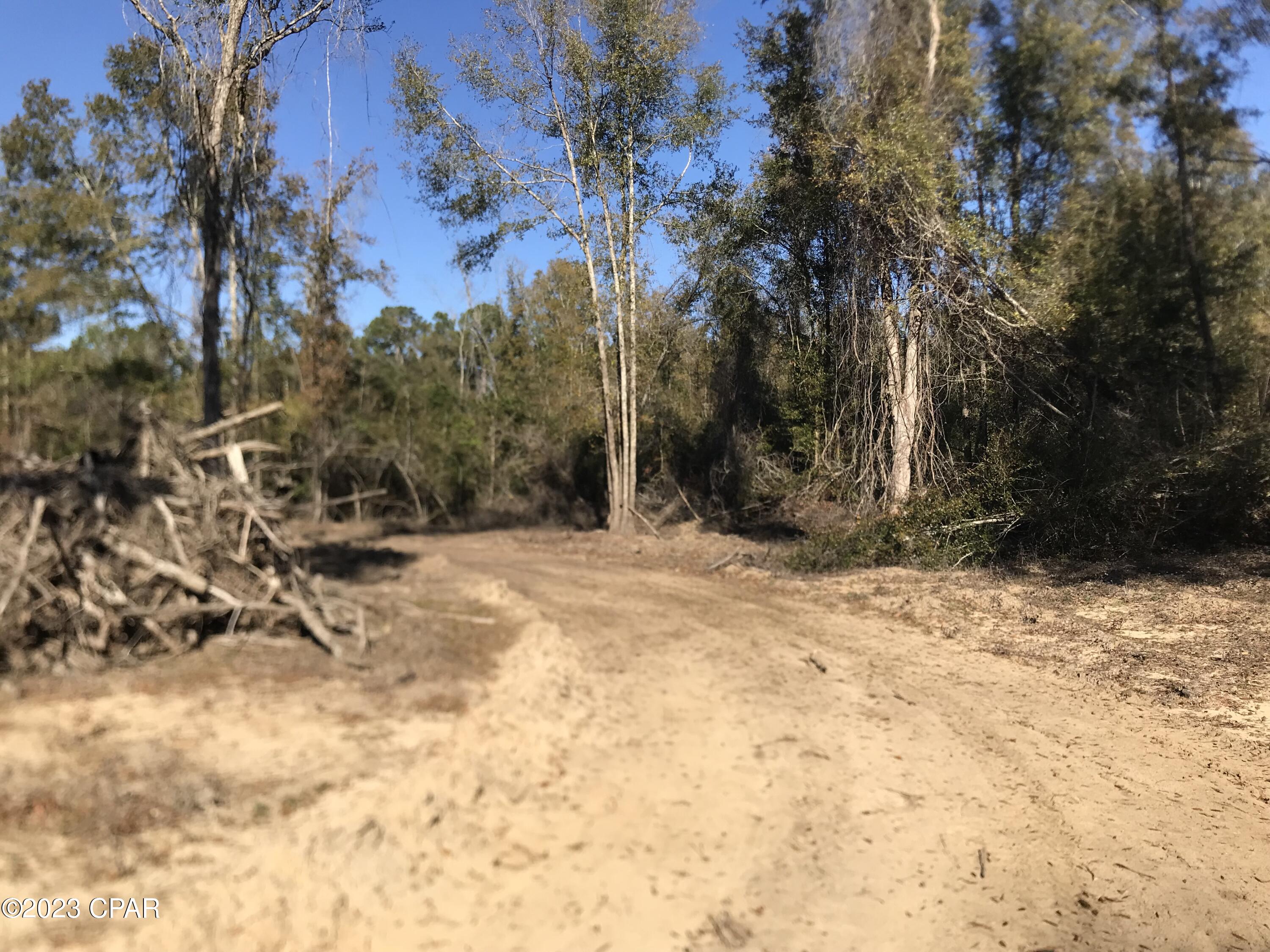 Whistering Pines - Land