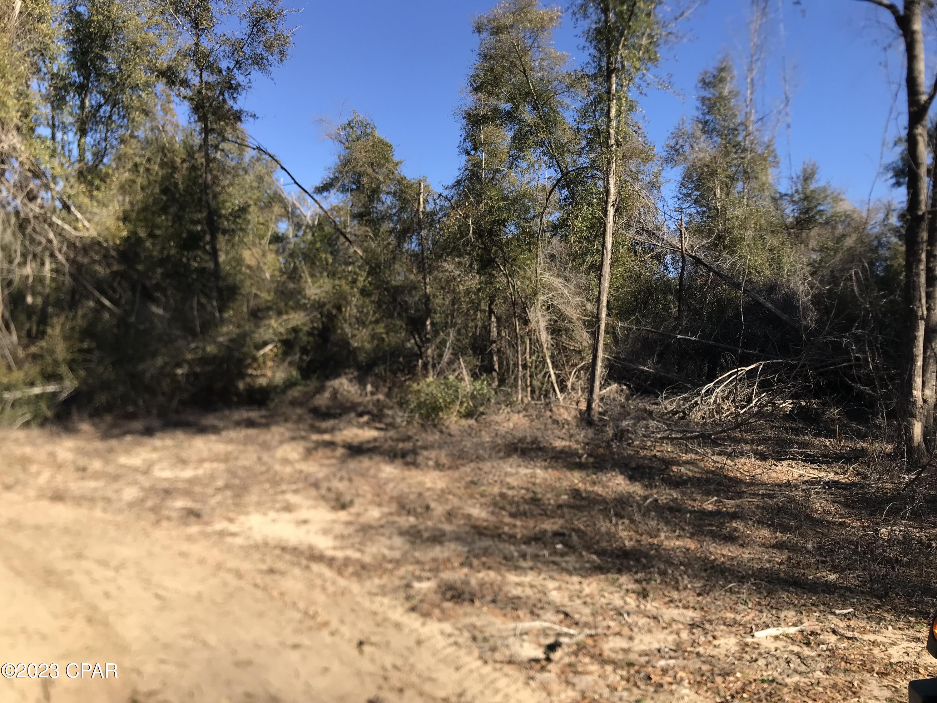 Whistering Pines - Land