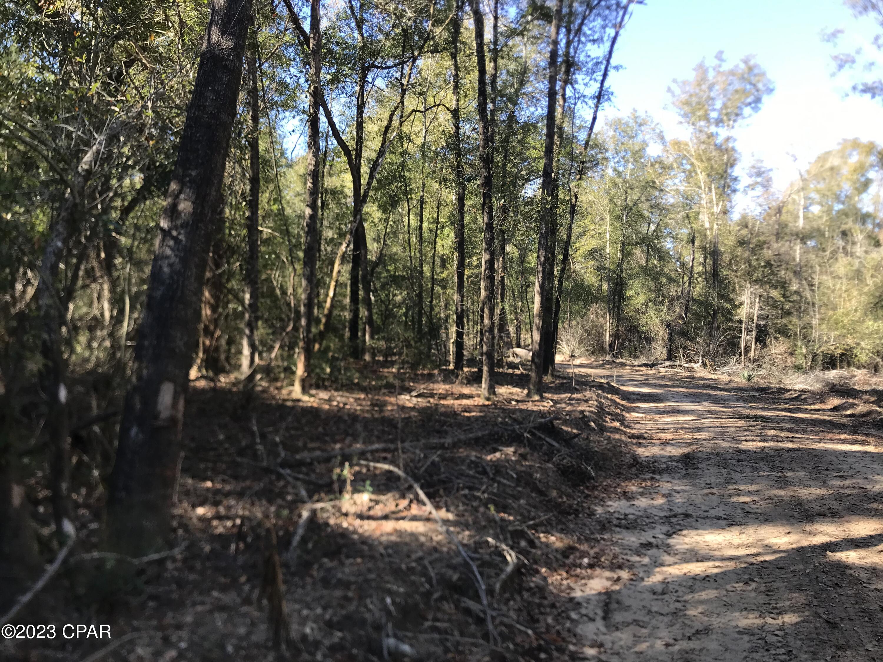 Whistering Pines - Land