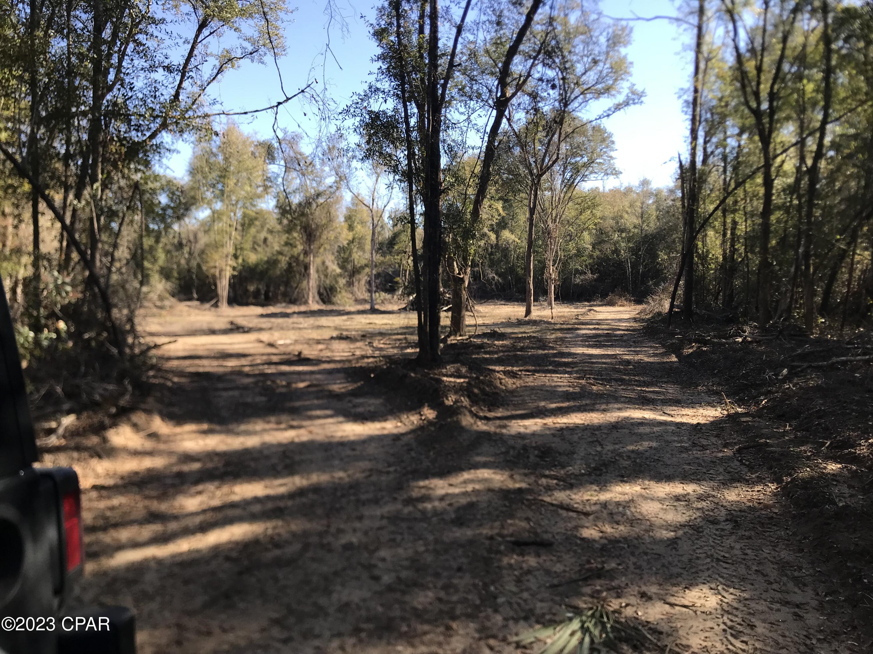 Whistering Pines - Land