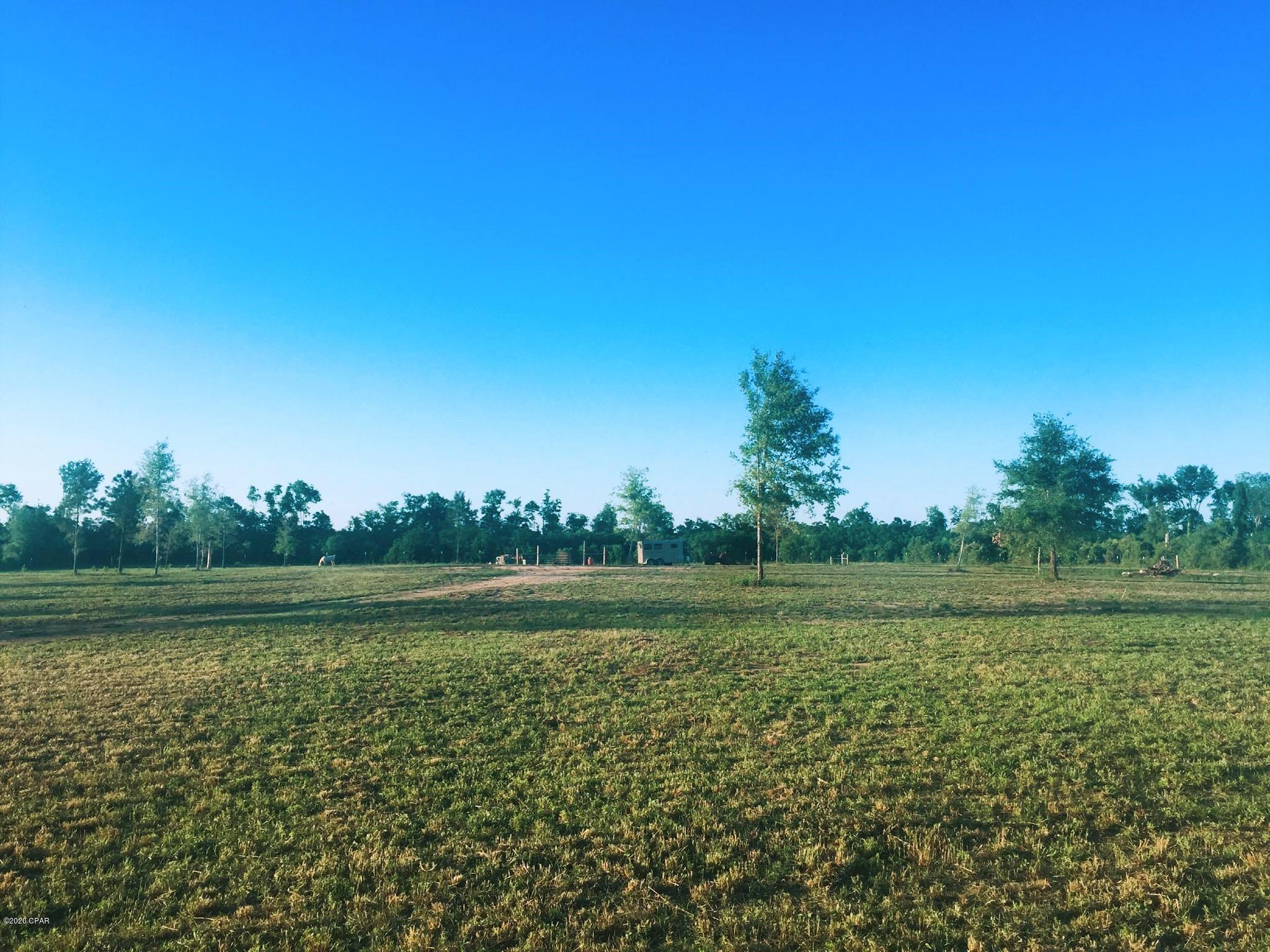 Blue Springs Plantation - Land