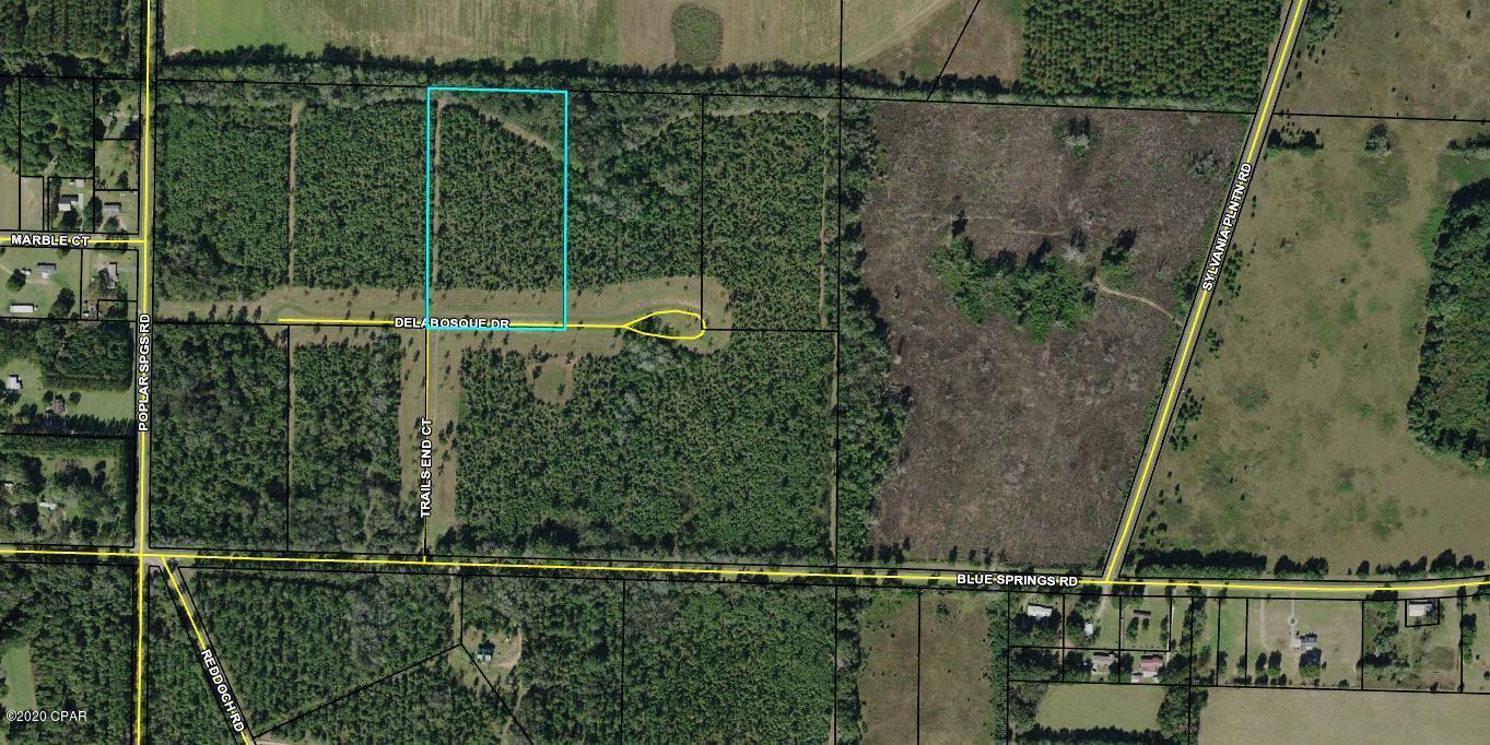 Blue Springs Plantation - Land