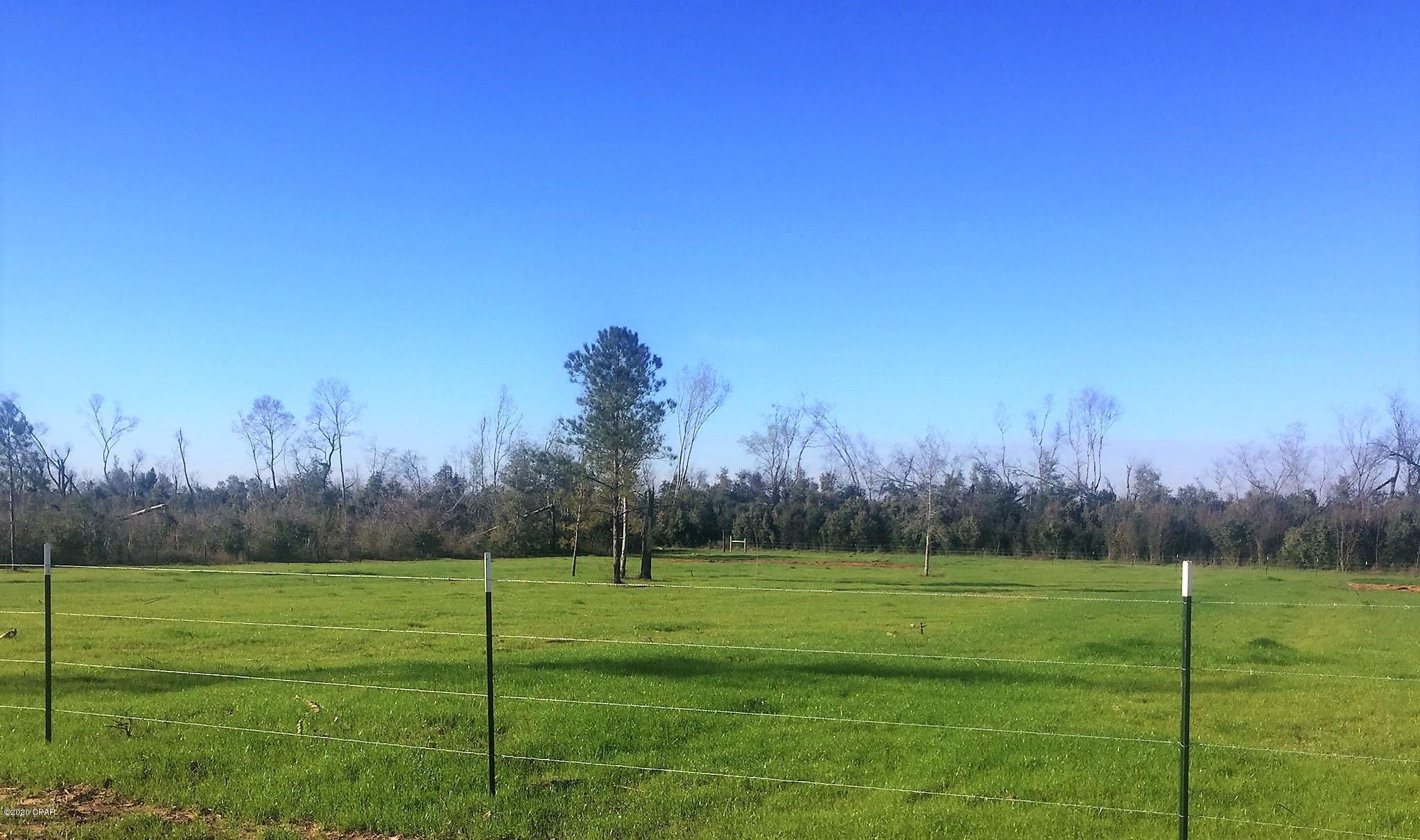 Blue Springs Plantation - Land