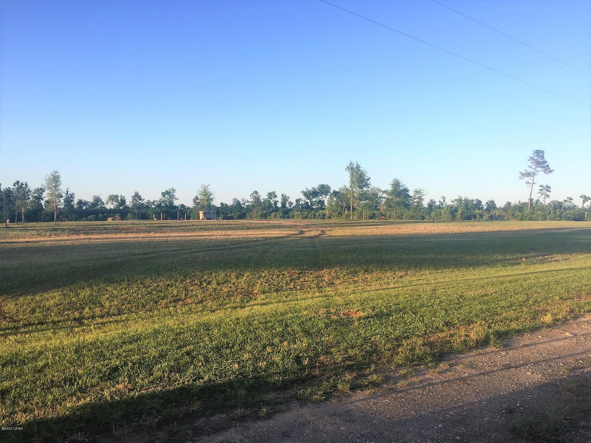 Blue Springs Plantation - Land