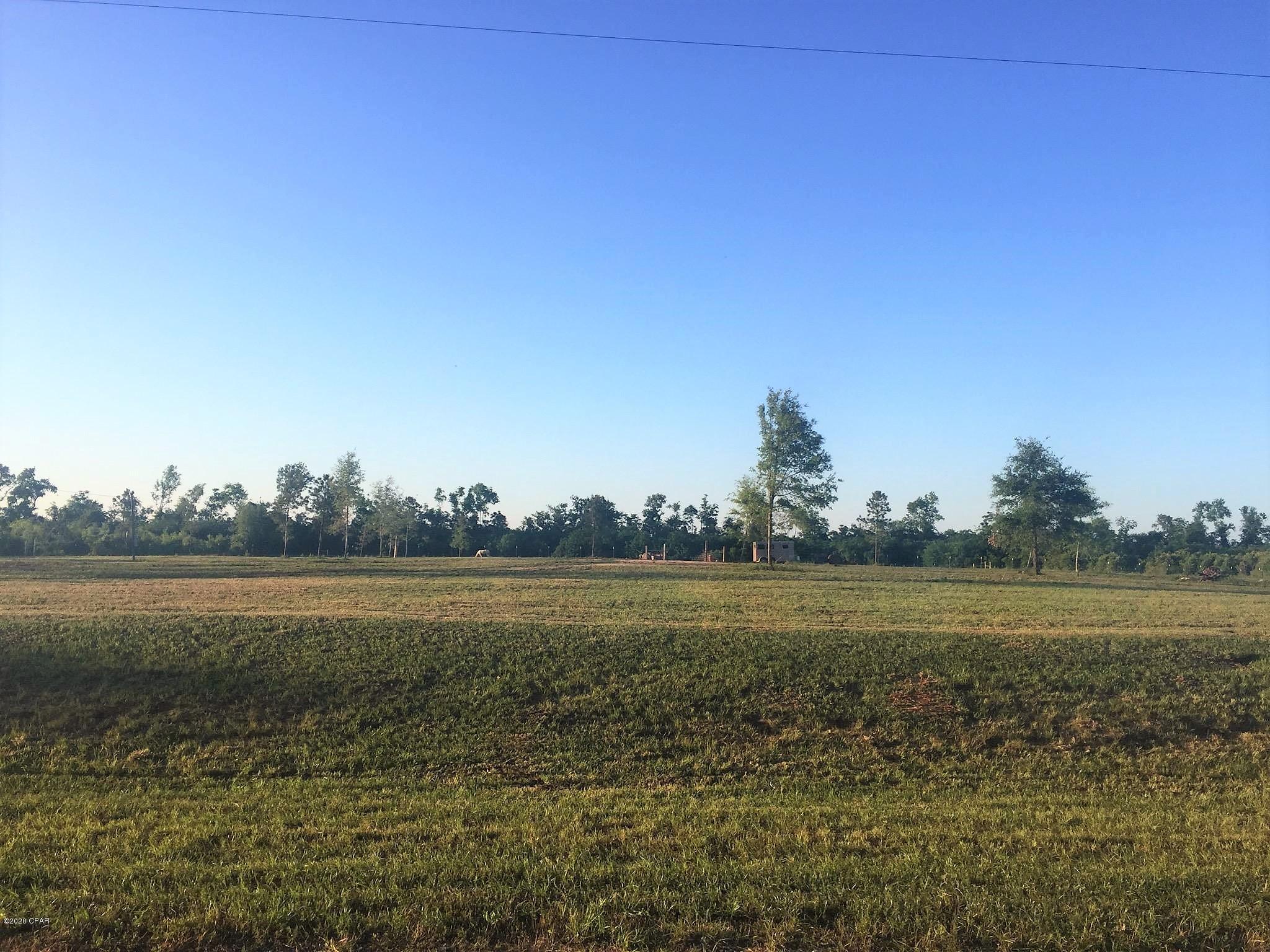 Blue Springs Plantation - Land