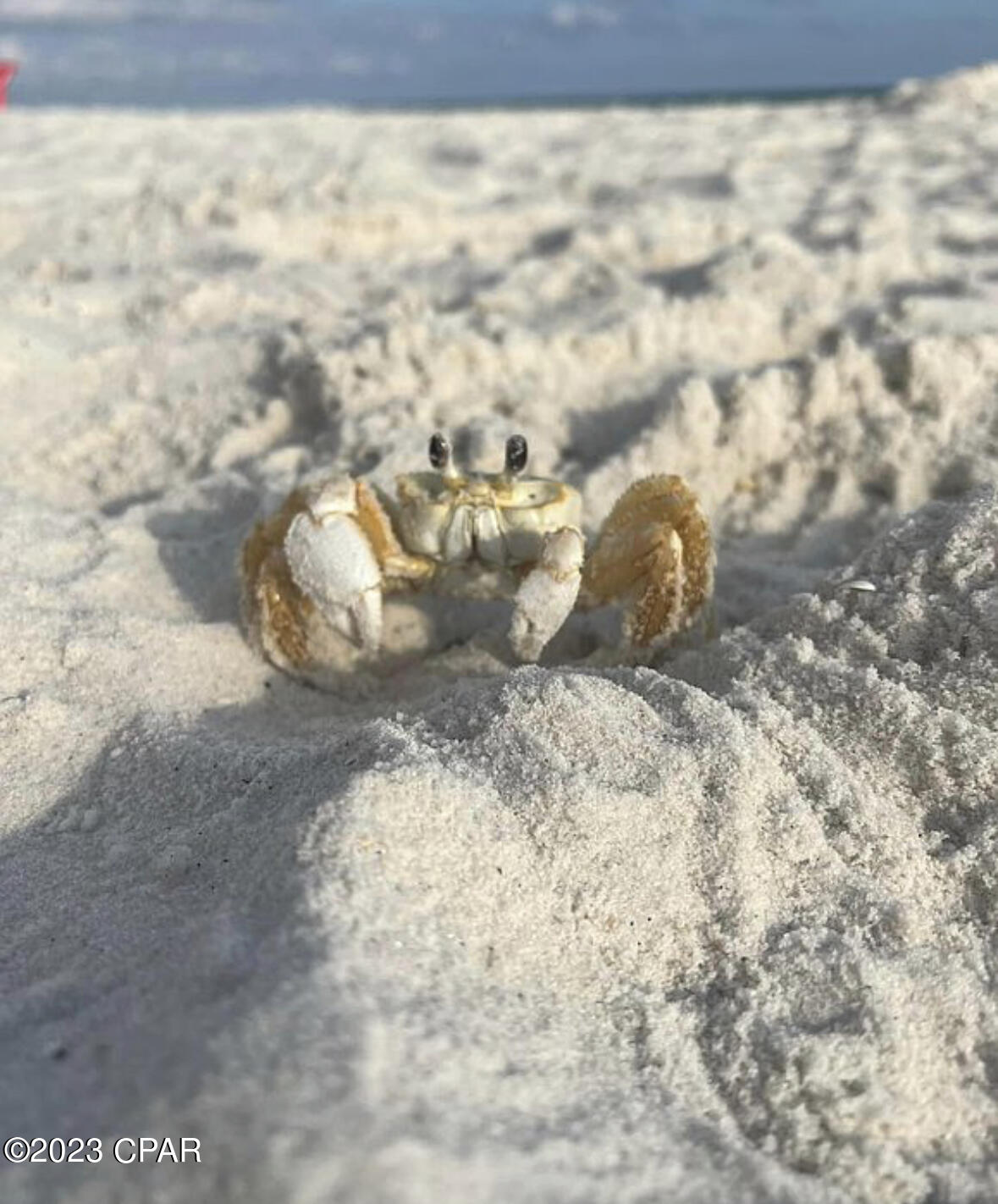 Holiday Beach Unit 3 - Residential