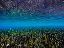 Indian Springs Golf Course - Land