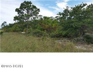 Cape San Blas - Land