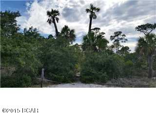 Cape San Blas - Land