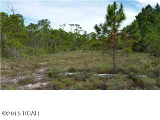 Cape San Blas - Land