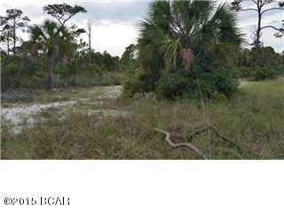 Cape San Blas - Land