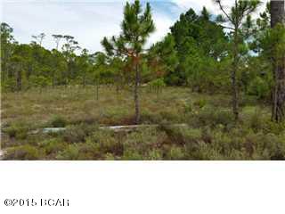 Cape San Blas - Land