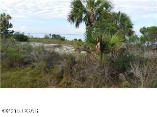 Cape San Blas - Land