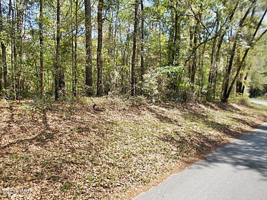 Nice wooded lot in the city of Marianna, just minutes from downtown, drive by and see this property.