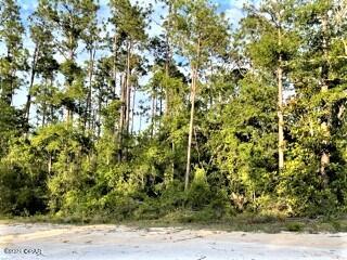 Compass Lake Hills Unit 6 - Land