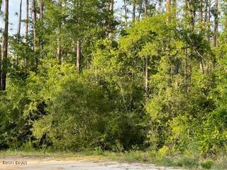 Compass Lake Hills Unit 6 - Land