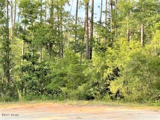 Compass Lake Hills Unit 6 - Land