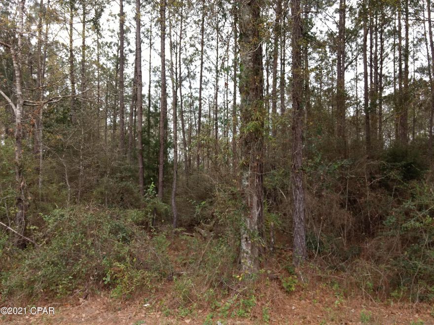 Beautiful wooded lot with highway frontage.

Will make a great home site with a little bit of clearing. Located just past the PDL. schools.  Sits on a hill with gradual slope to the back. Great area, close to Vortex Springs, and only 1 hour from the Beaches.