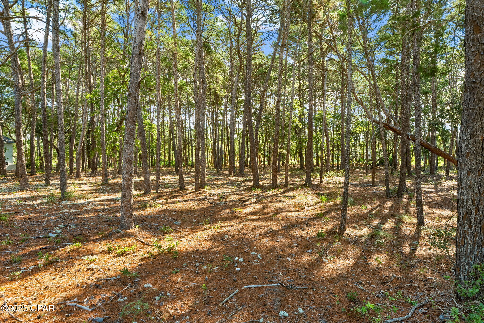 Wild Heron Phase III - Land