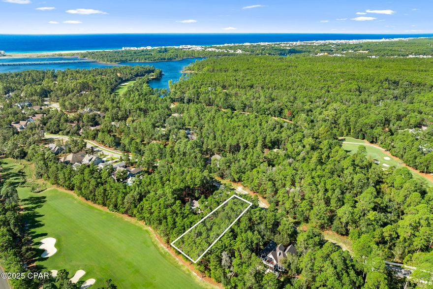 Discover the perfect opportunity to build your dream home in one of Northwest Florida's most exclusive gated communities. This premium homesite is nestled along the award-winning Shark's Tooth Golf Course on hole 10, offering stunning views and a serene natural setting. Wild Heron is located on the shores of Lake Powell—Florida's largest coastal dune lake. This property provides a rare blend of privacy, luxury, and access to the area's most breathtaking natural features. Enjoy the lifestyle you've been dreaming of with access to world-class golf, pristine nature trails, and nearby white-sand beaches of the Emerald Coast. This community offers peace and security behind private gates, while still being just minutes from shopping, dining, and entertainment at 30A and Pier Park.
Whether you're seeking a primary residence or a coastal retreat, this homesite offers endless potential to design the perfect custom home surrounded by nature and luxury.

Don't miss your chance to live where the golf course meets the coast on beautiful Lake Powell at Shark's Tooth.