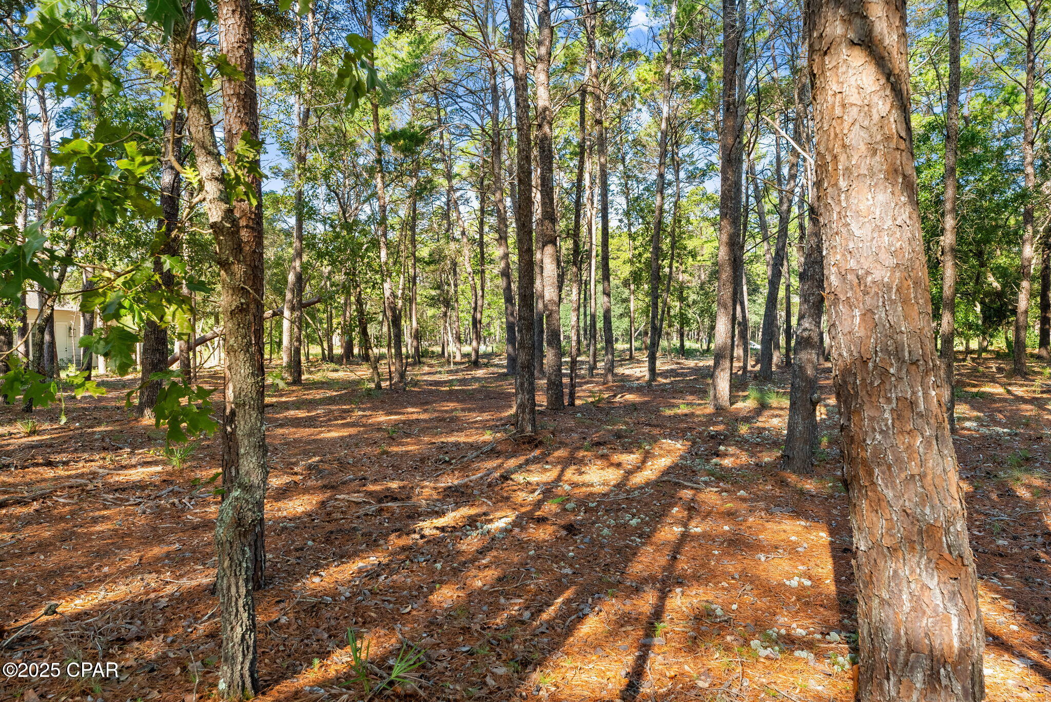 Wild Heron Phase III - Land