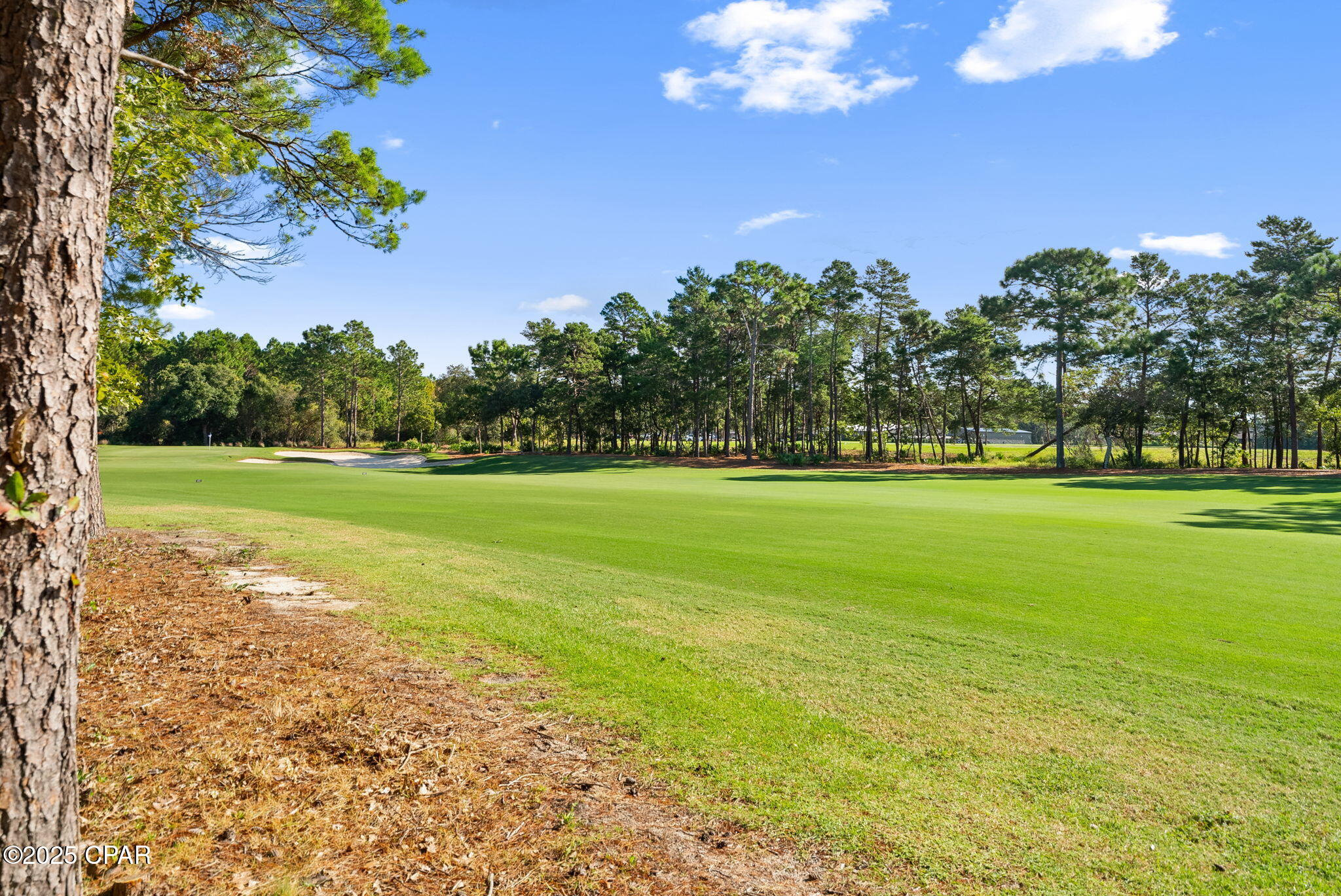 Wild Heron Phase III - Land