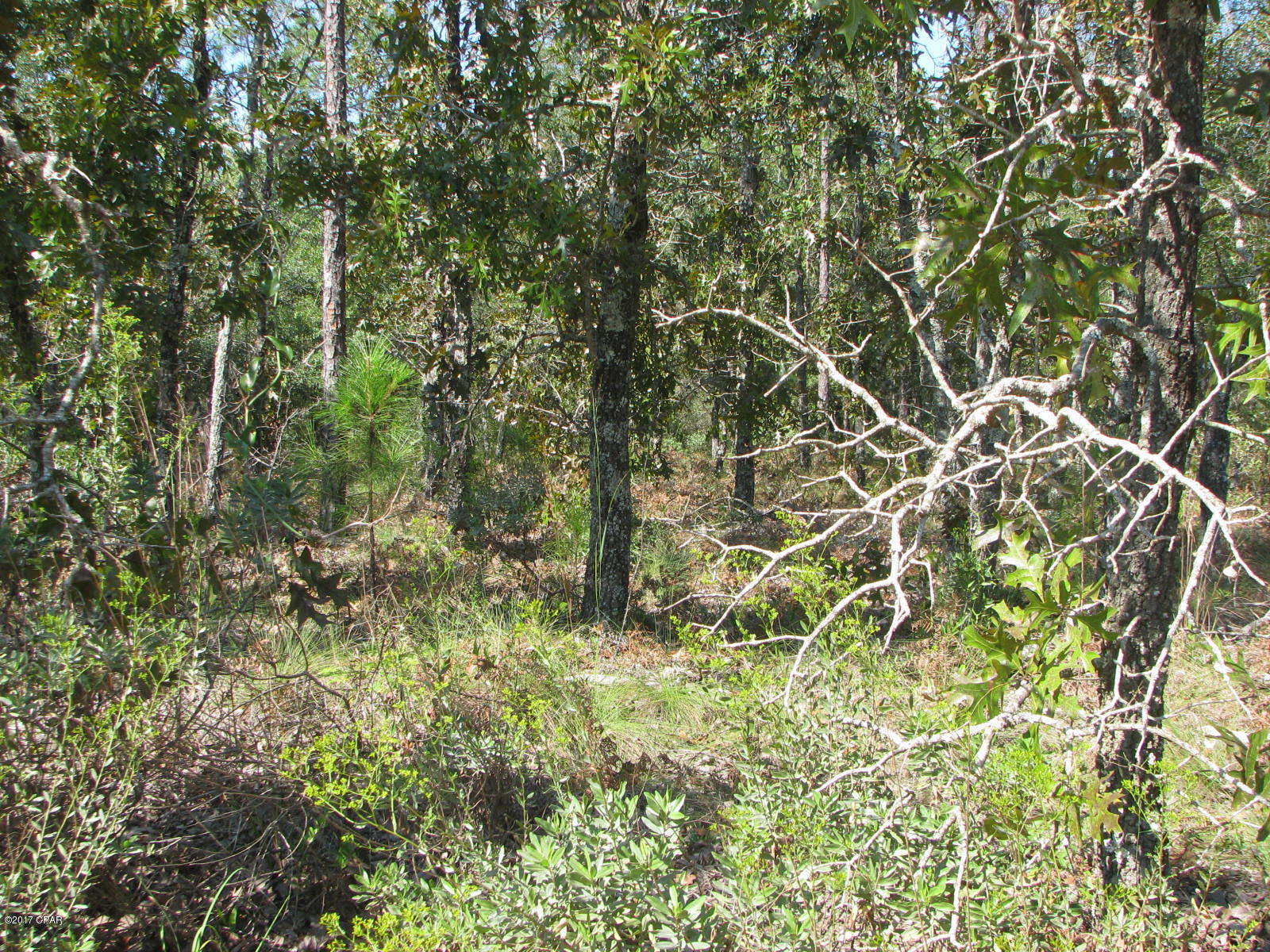 [No Recorded Subdiv] - Land