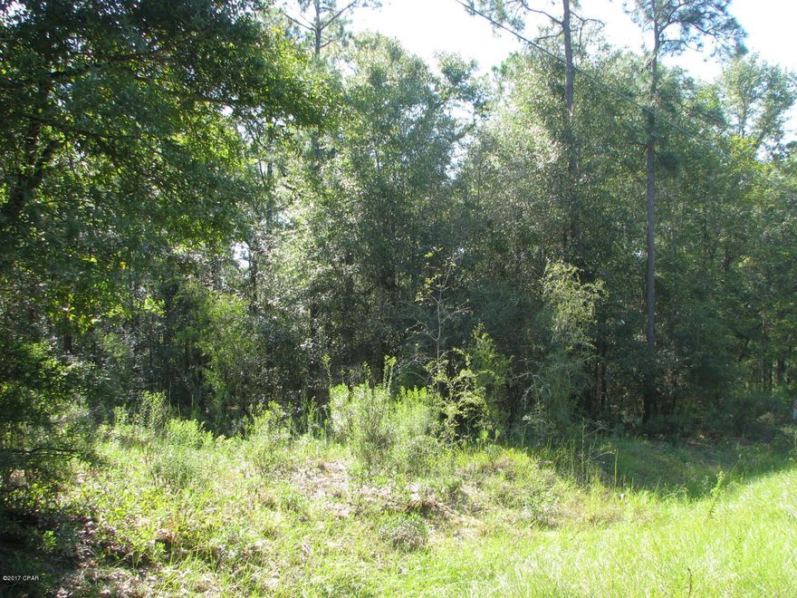 Natural wooded 5.32 acre lot with frontage on Wheeler Lane (dirt) road and also Quail Hollow Blvd (paved) road. Would make a perfect homesite with some clearing. Close to many boat ramps and places to hunt. No deed restrictions; site built homes or mobile homes allowed.