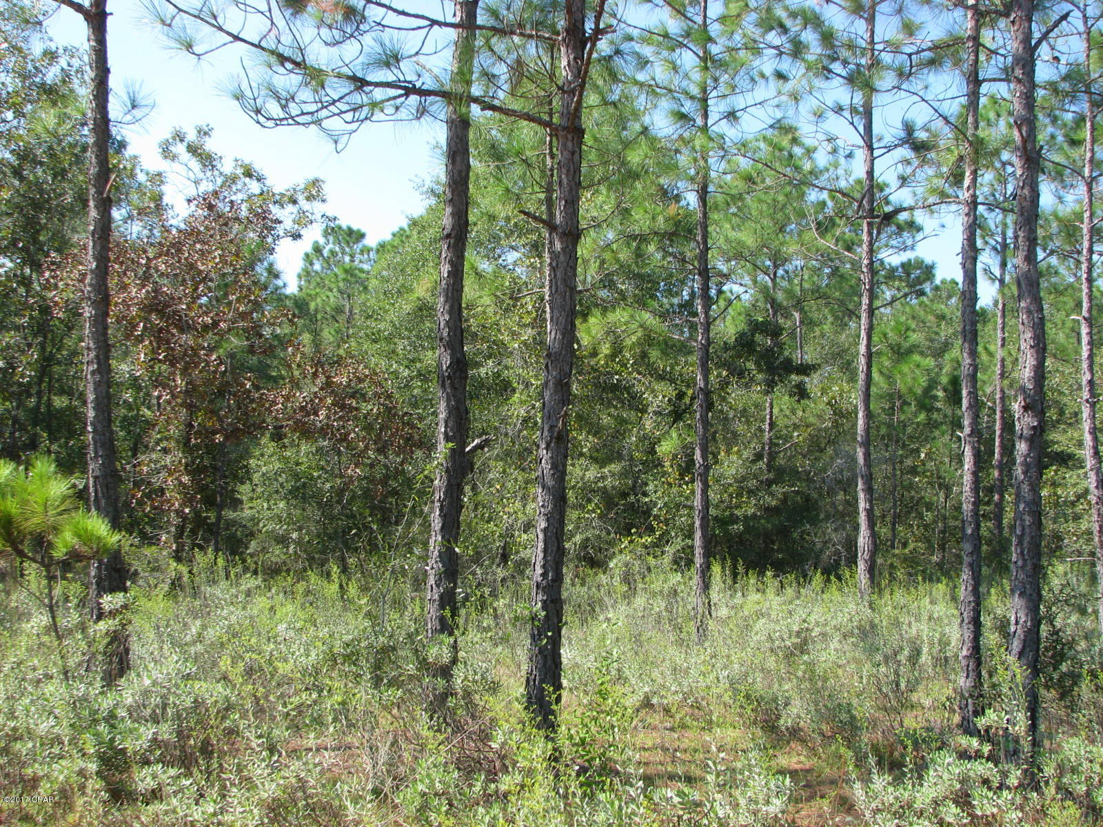 [No Recorded Subdiv] - Land