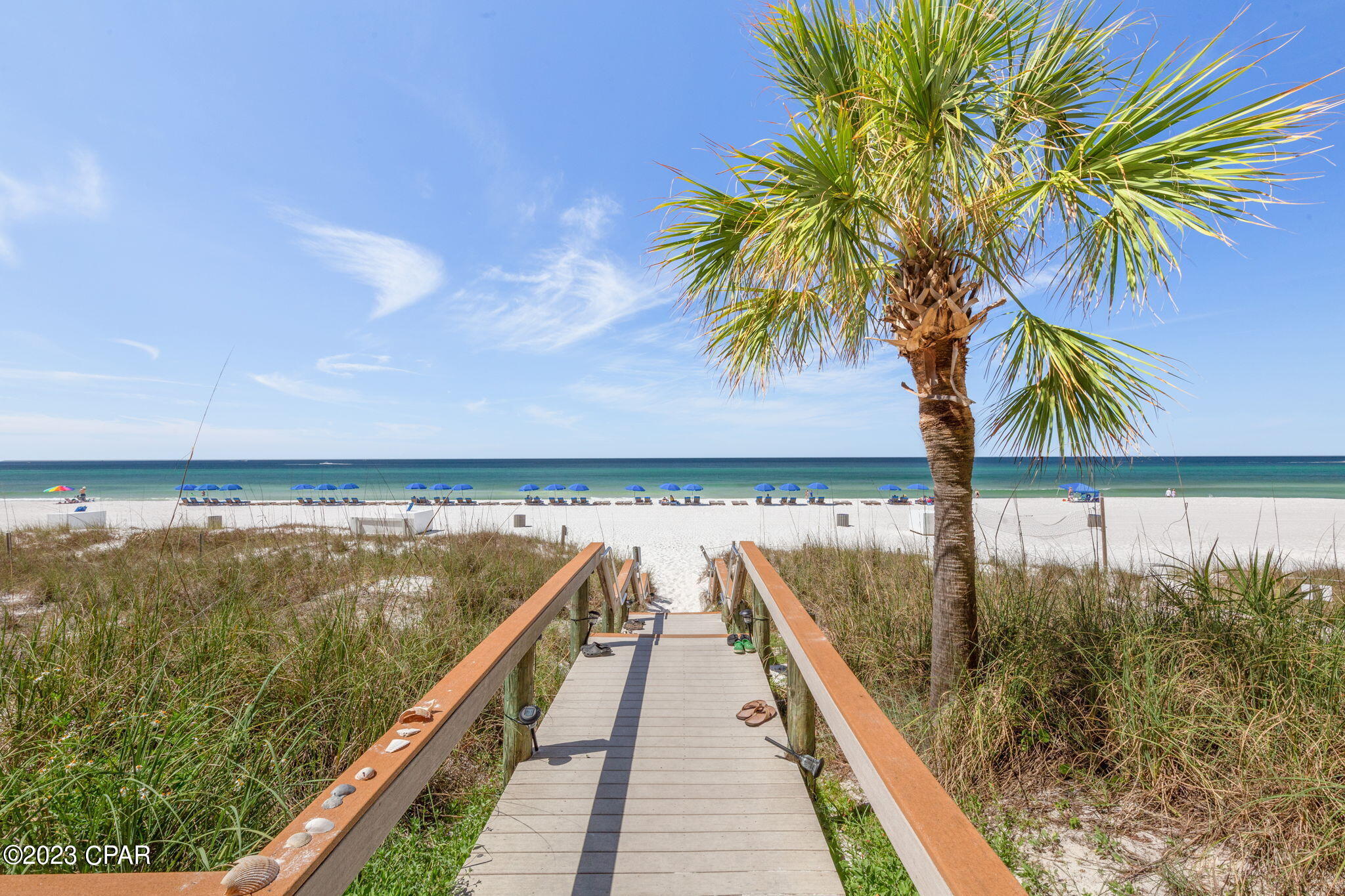 The Commodore - Residential