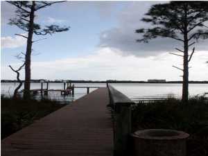 Wild Heron Phase II - Land