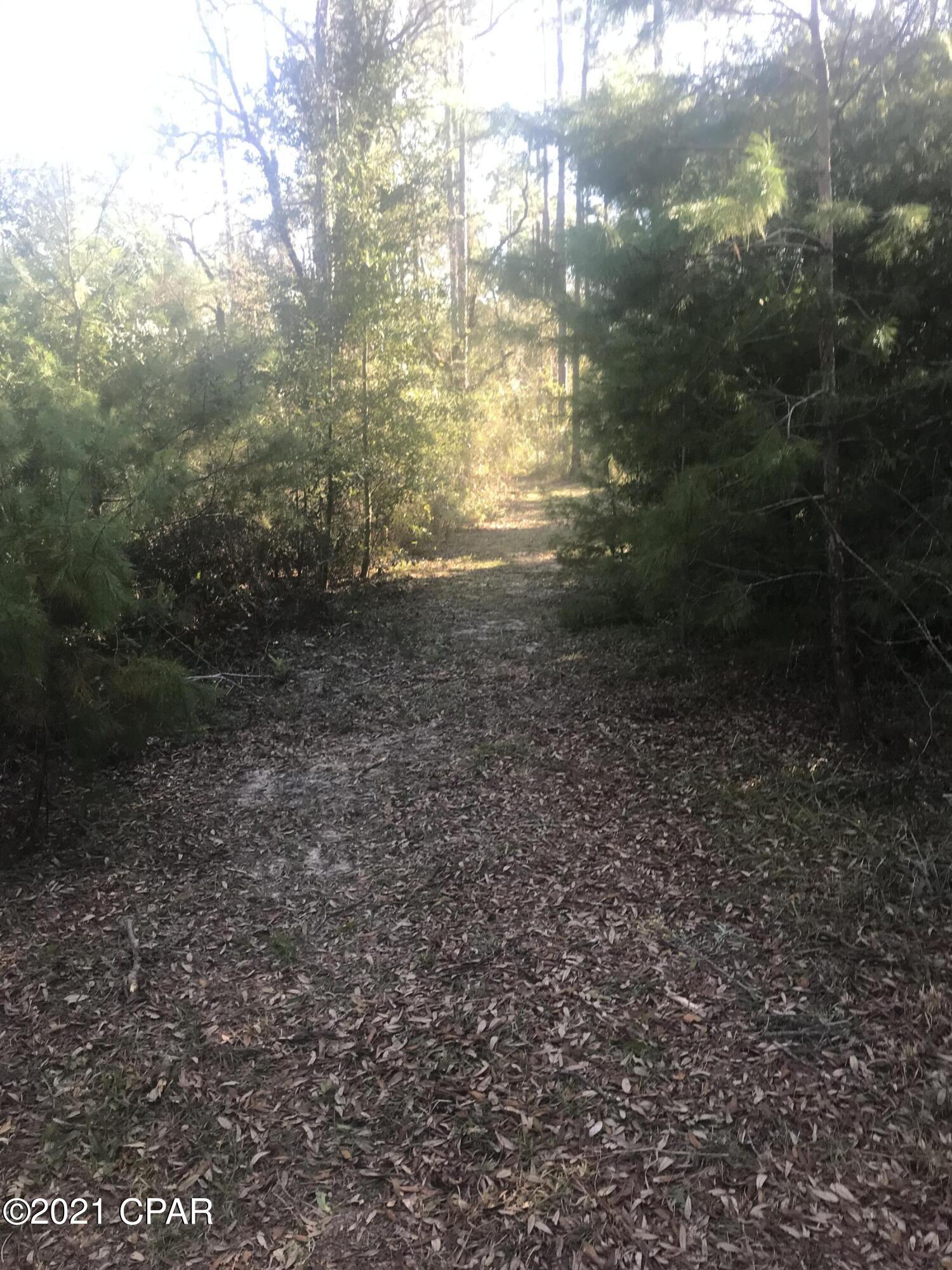 White Oaks - Land