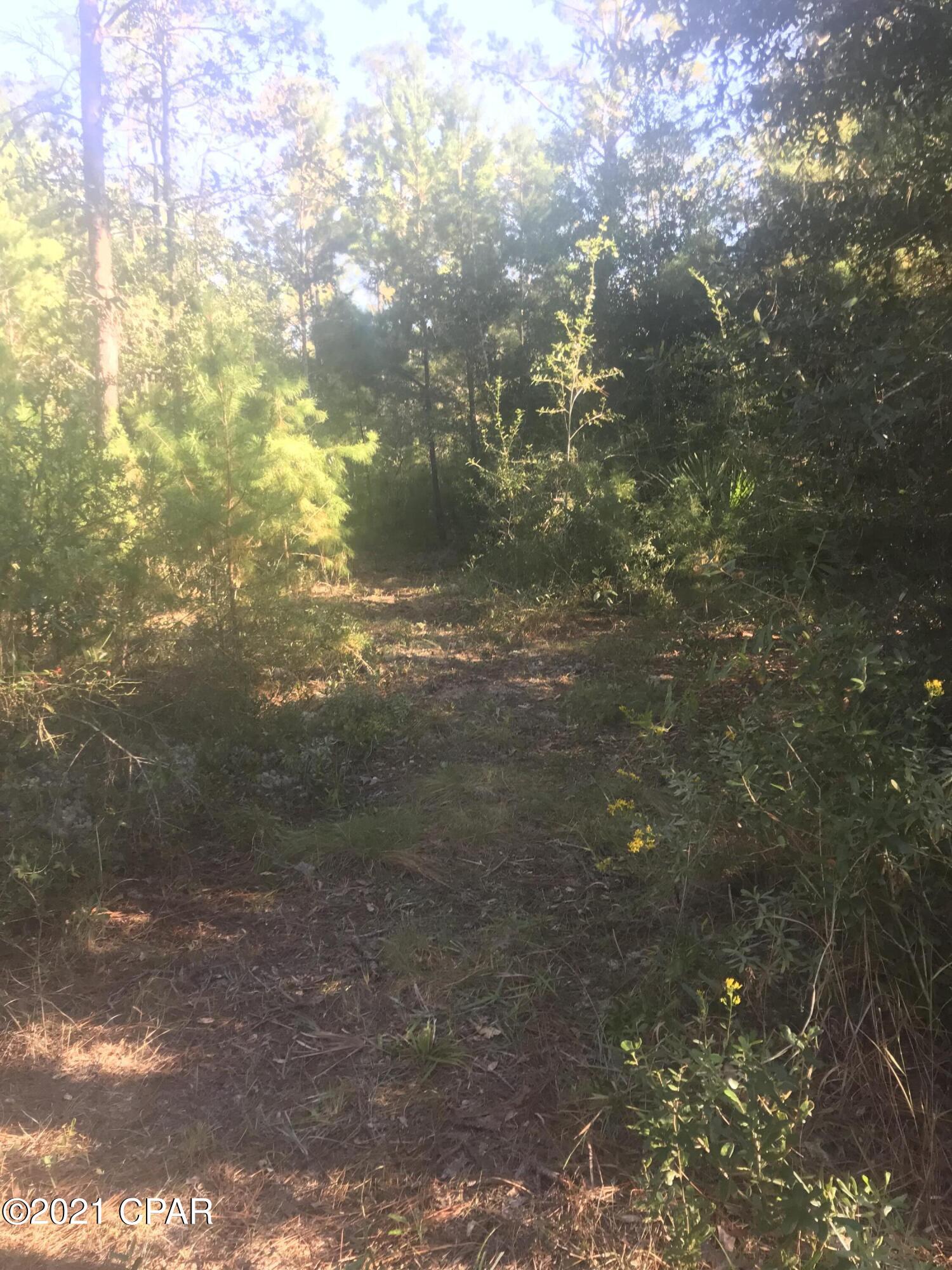 White Oaks - Land
