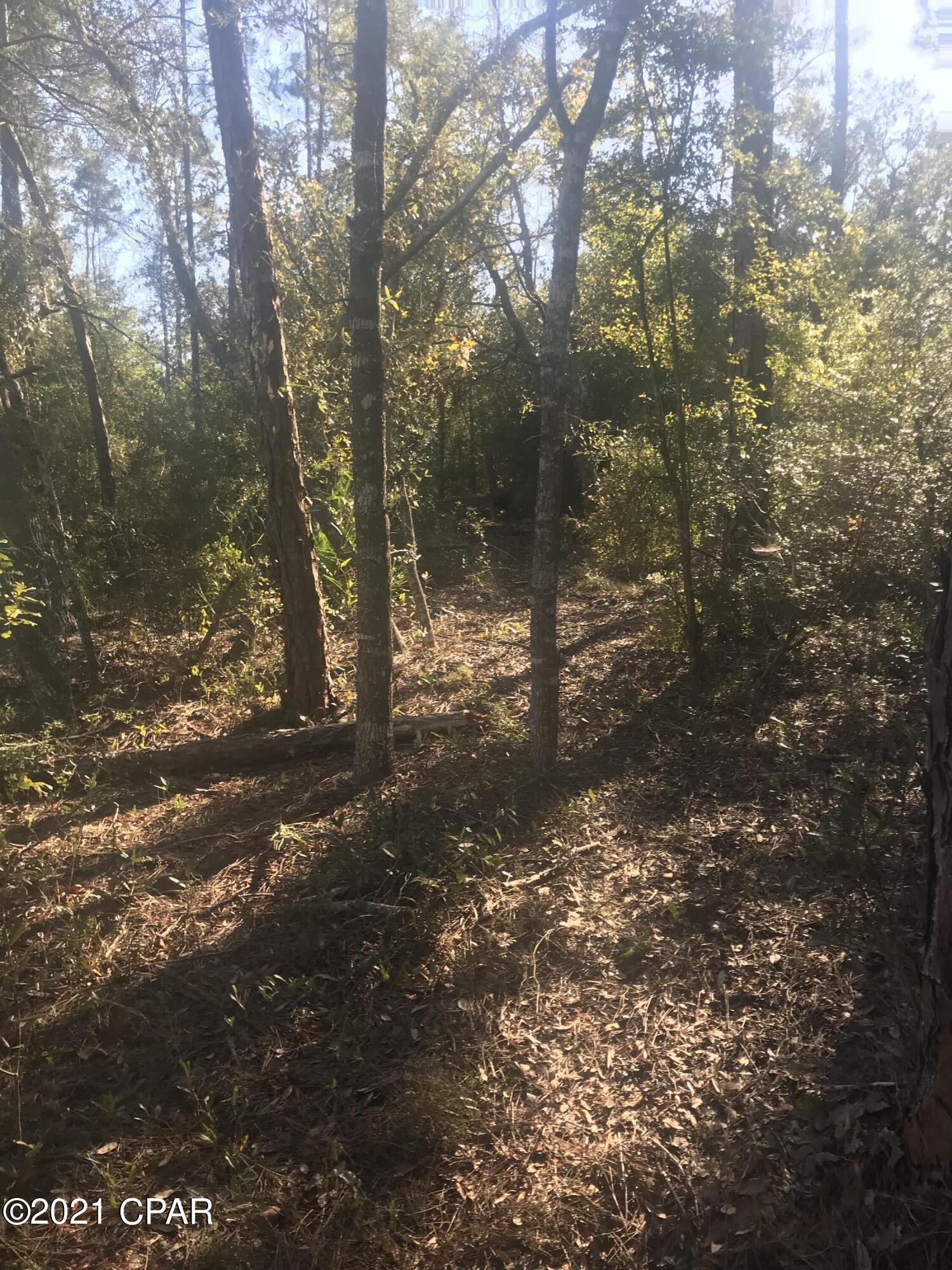 White Oaks - Land