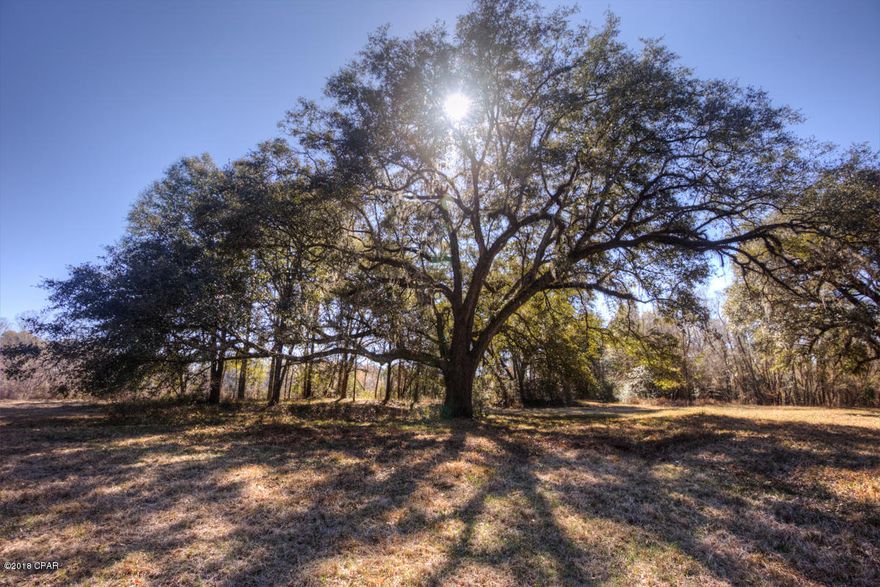 Hunting, Fishing, Farming or just plain RETREATING; this property offers  it ALL! With almost 200ac of Land bordering over 2000ft of Choctawhatchee River Frontage to the east and Parrot Creek Frontage to the north; PRIVACY is King! The property has a tremendous road system winding throughout the property and leading to a natural boat launch on the Creek just prior to it entering the River. The 1830 total sqft house has a GREAT structural beginning to the perfect Retreat allowing you the finishing touches