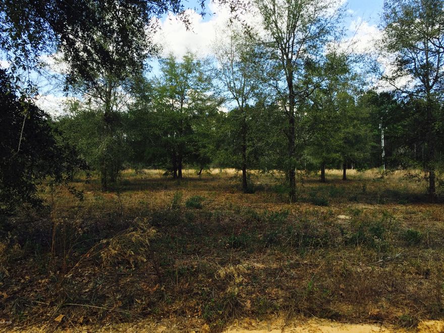 ARE YOU LOOKING FOR PEACE AND QUIET?!! HERE IT IS! BEAUTIFUL HOME SITE READY FOR CONSTRUCTION! HOME SITE CLEARED EXCEPT FOR THE NICE OAKS LEFT FOR YOUR ENJOYMENT! CLOSE TO BEAUTIFUL LAKE SEMINOLE AND THE CHATTAHOOCHEE RIVER! MILD RESTRCITIONS TO PROTECT YOUR INVESTMENT!