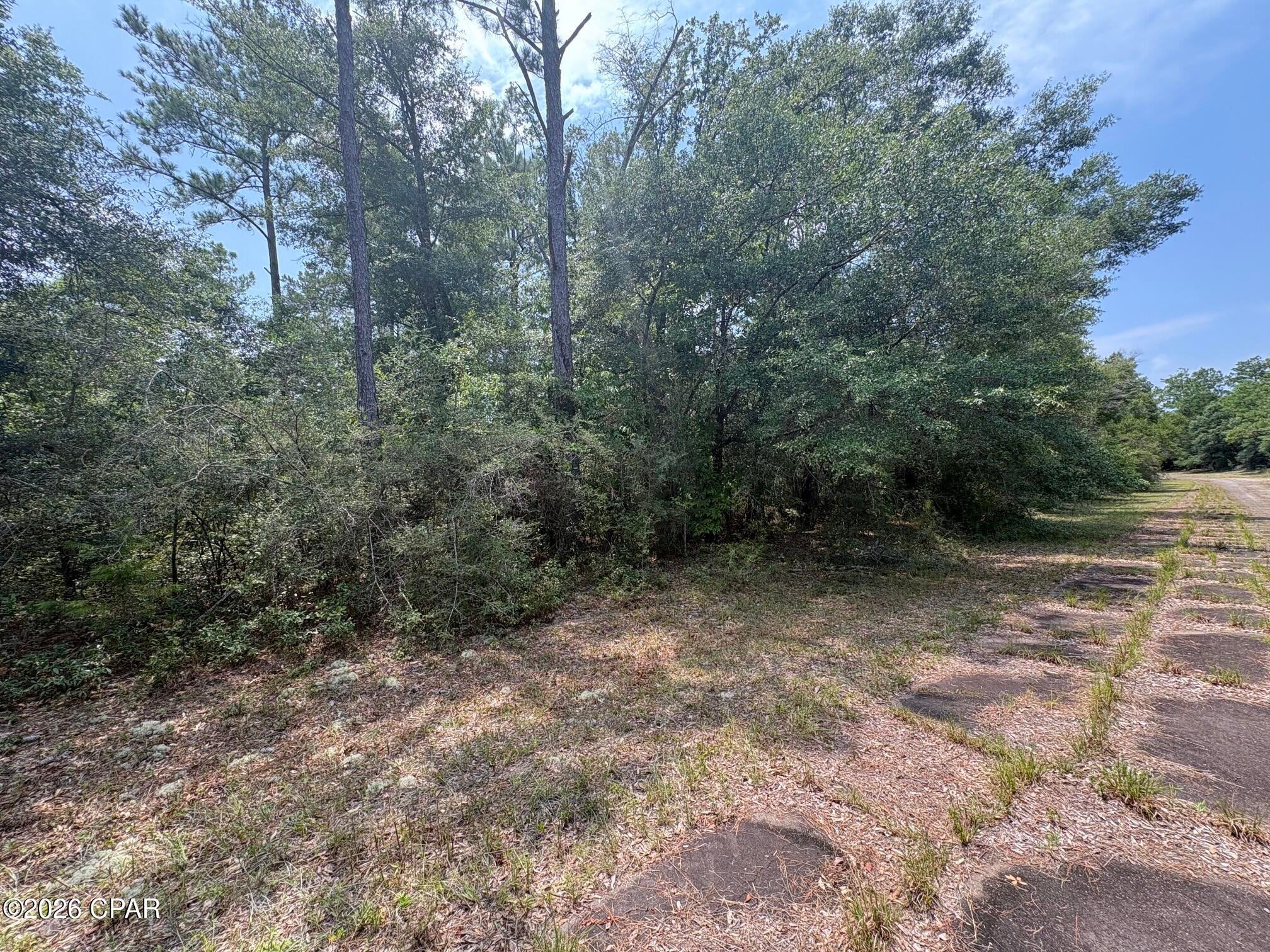 LOT 39 Birchwood Drive