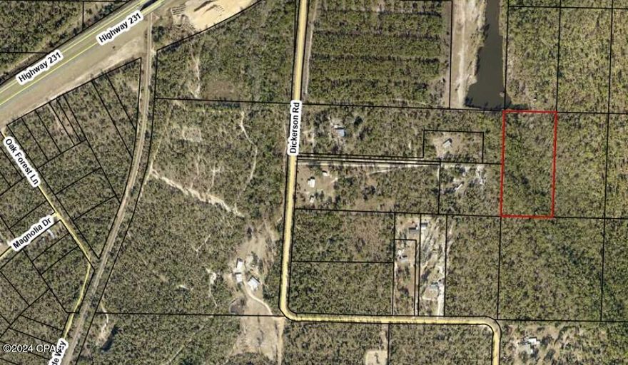 5 acres of vacant wooded land. Property is land locked (no known existing easement or access) but is near Dickerson Road and has three separate owners with public road access touching the property.  Offered as is.  All sizes are approximate or taken from other sources please verify accordingly.