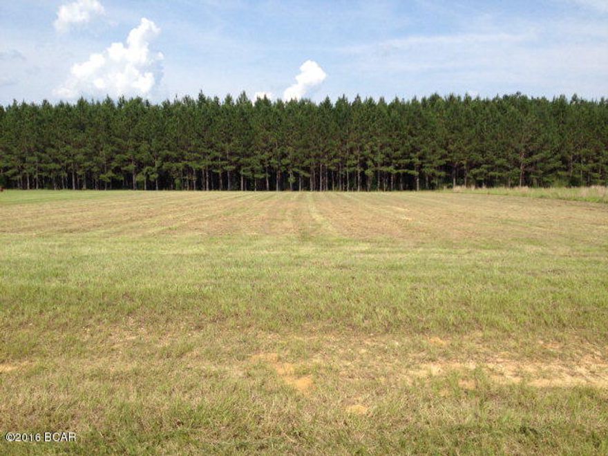 Build your dream home on this oversized lot thats just minutes from town. Underground electricity, paved road, street lights, fishing pond and playground are just a few of the amenaties this subdivision offers.