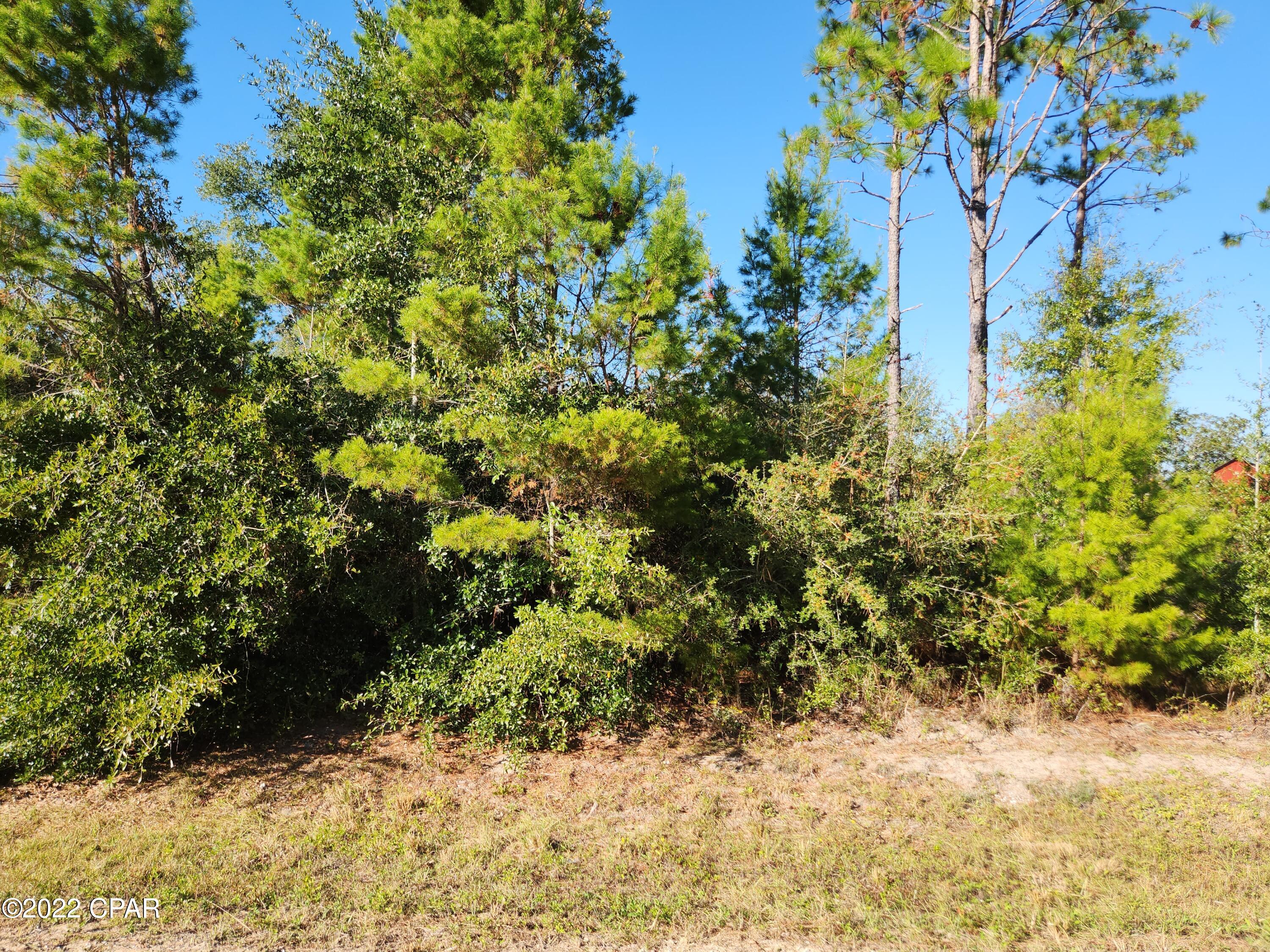 Lake Mckenzie Homes - Land